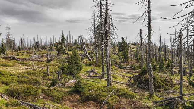 die-zeit-laeuft-ab-aber-degrowth-und-gruenes-wachs-cc0-pixabay-felixmittermeier-240503_download Die Zeit läuft ab – aber Degrowth und grünes Wachstum könnten uns gemeinsam aus der Klimakrise helfen.