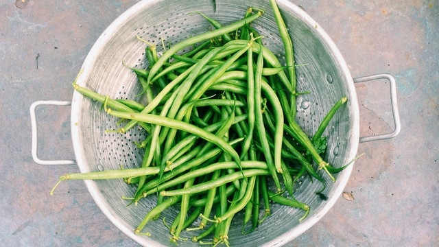 bohnen-einkochen-cc0-public-domain-pixabay-snapwiresnaps-180702 bohnen einkochen