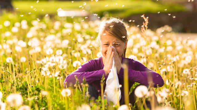 Girl sitting in meadow with dandelions and has hay fever or allergy Heuschnupfen: Hausmittel zur Linderung