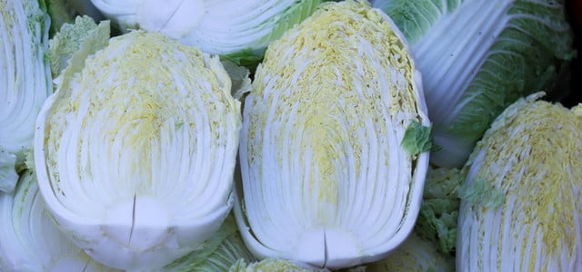 Schwarze Flecken auf Chinakohl