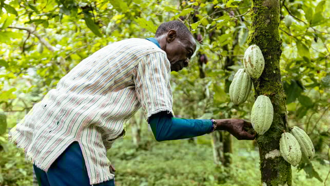 Chief-Sahr-Ngombu-Yajah-10139_1920x1080px