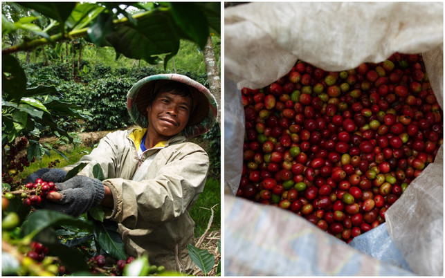 Kann mit Fair-Trade-Kaffee besser entlohnt werden: Kaffeebauer der Koperasi Baithul Qiradh Baburrayyan (KBQB) in Indonesien Kann mit Fair-Trade-Kaffee besser entlohnt werden: Kaffeebauer der Koperasi Baithul Qiradh Baburrayyan (KBQB) in Indonesien