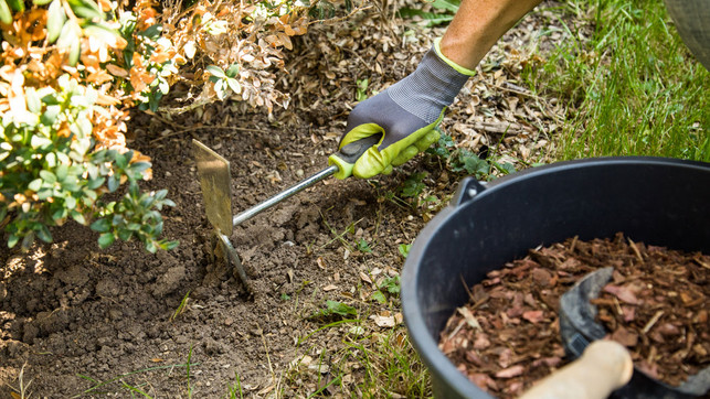 pflanzen-hacke-urlaub-dpa-240703 Harken, harken, harken: Das sorgt dafür, dass weniger Wasser aus dem Boden verdunstet.