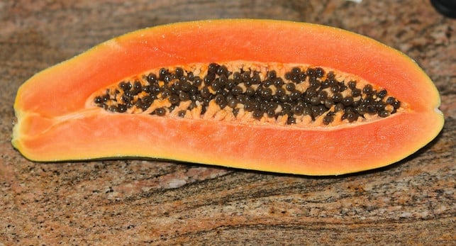 papaya-kerne-enthalten-das-enzym-papain-das-gegen-cc0-pixabay-nightowl-190517_download Papaya-Kerne enthalten das Enzym Papain, das gegen Parasiten wirkt.