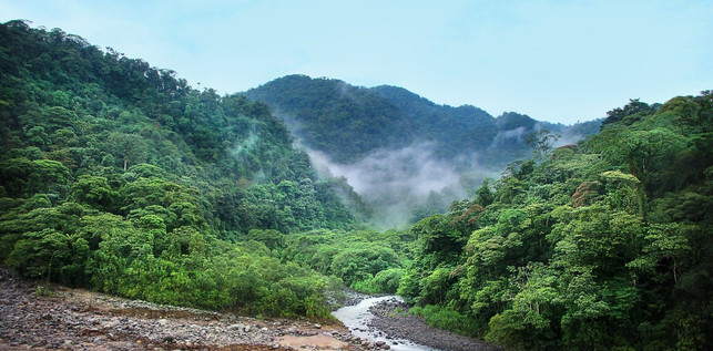 bauxit-bergbau-gefaehrdet-den-regenwald-cc0pixabaygregmontani-201210_download Bauxit-Bergbau gefährdet den Regenwald.