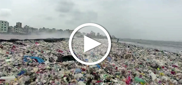 Plastikmüll: Putzaktion in Mumbai