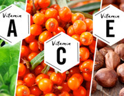 Vegetarische-Vitamine-Naehrstoffe