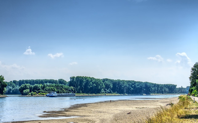 klimawandel-anpassen-fluss-rhein-trocken-pb-distelAPPArath-201104-1280x800 Trockenes Flussbett: Anpassungen an Folgen des Klimawandels notwendig