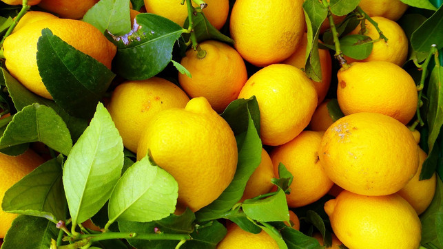 die-schalen-von-bio-zitronen-sind-nicht-durch-scha-cc0-pixabay-rauschenberger-180604_download Für das Limoncello-Rezept solltest du Bio-Zitronen verwenden.