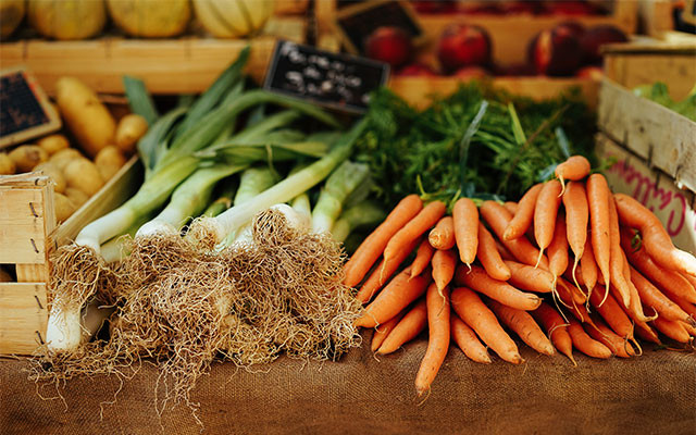 unsplash-peter-wendt_640x400 nachhaltige Geldanlage grünes Geld