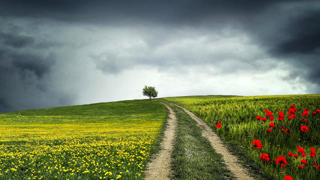 Von wegen nachhaltig: Fast alle grünen Aktienfonds scheitern am EU-Standard Aktienfonds nicht nachhaltig