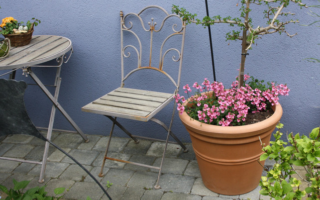 ein-alter-stuhl-kann-als-rankhilfe-fuer-topfpflanze-maria-hohenthalutopia-200516_download Ein alter Stuhl kann als Rankhilfe für Topfpflanzen dienen.