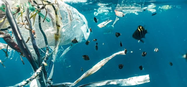 23 Kilometer lang ist die größte Müllansammlung, welche die Forscher im Meer entdeckten.