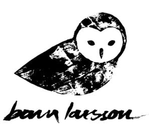 Bam Larssson Biomode
