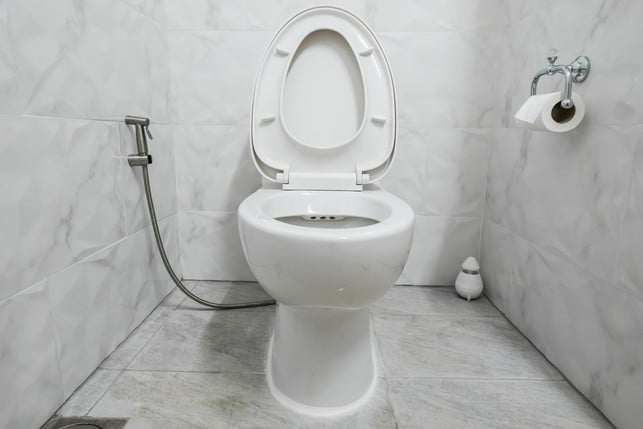 toilettenpapier-alternative-hygiene-schlauch-w-sasinparaksa-170816-1200x800 Alternative zu Toilettenpapier: Hygiene-Dusche, Bidet-Dusche