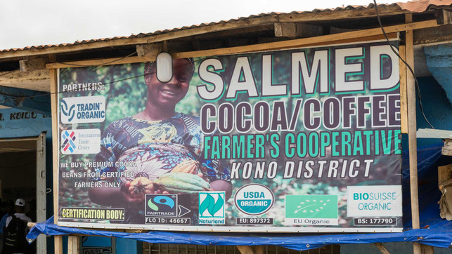 Salmed-Cooperative-10523_1920x1080px