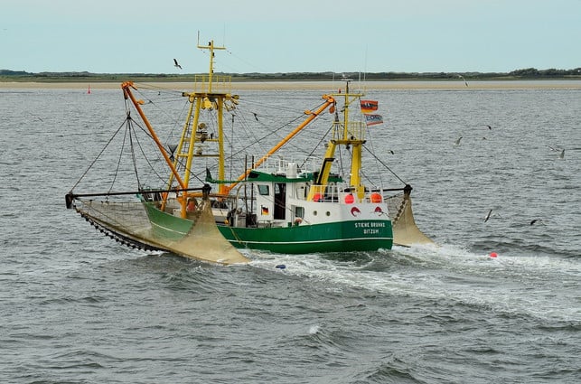 der-fischfang-traegt-zur-ueberfischung-der-meere-bei-cc0-pixabay-detmold-210816_download Der Fischfang trägt zur Überfischung der Meere bei.