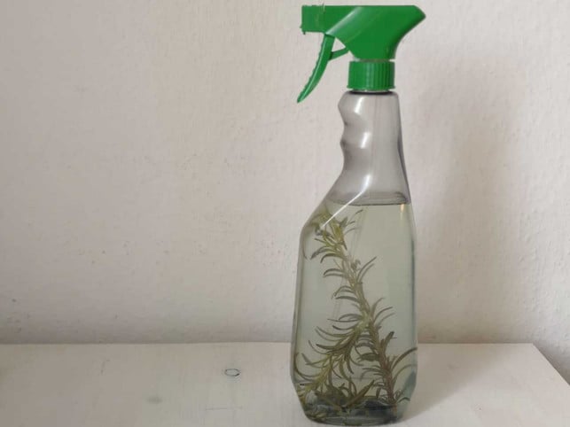 ein-natuerliches-raumspray-mit-zitrone-und-rosmarin-melanie-hagenau-utopia-180620_download Ein natürliches Raumspray mit Zitrone und Rosmarin macht du ganz leicht selber.