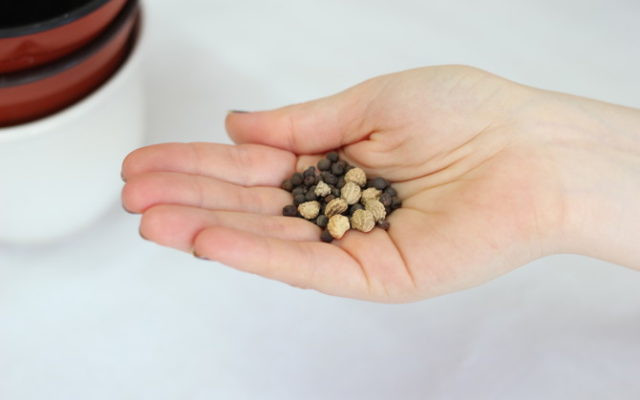 Seed Bombs basteln Seed Bombs basteln