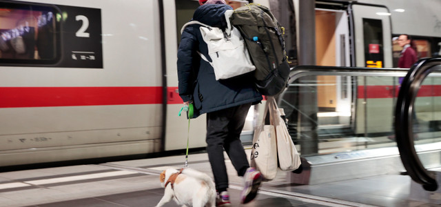 Die Deutsche Bahn erleichtert das Reisen mit Hund