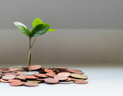 Nachhaltige Fonds: nachhaltig Geld anlegen