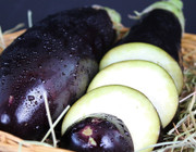 aubergine reif