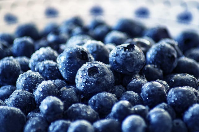 bevor-du-die-blaubeeren-einfrieren-kannst-solltes-cc0-pixabay-0fjd125gk87-220810_download Bevor du die Blaubeeren einfrieren kannst, solltest du sie vollständig trocknen lassen.