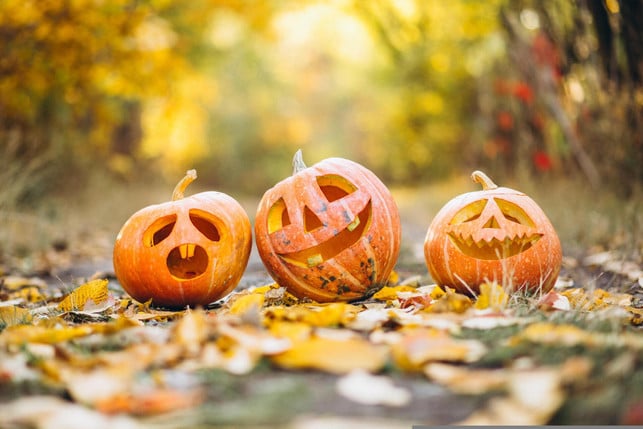 halloween-geht-auch-nachhaltig-cc0--pixabay--gadgemayur-251029_download Halloween geht auch nachhaltig.