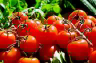 eingelegte-tomaten-bringen-ein-stueck-sommer-in-die-cc0-pixabay-couleur-180917_download Eingelegte Tomaten bringen ein Stück Sommer in die Küche.