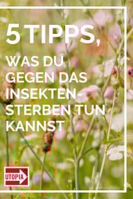 insektensterben-getty-pasiphae-200511 5 Tipps, was du gegen das Insektensterben tun kannst