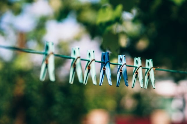 nach-dem-waschen-solltest-du-das-fensterleder-an-d-cc0-pixabay-igorovsyannykov-230726_download Nach dem Waschen solltest du das Fensterleder an der Luft trocknen lassen.