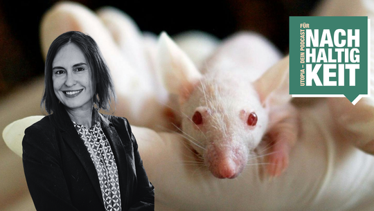 Sind Tierversuche im 21. Jahrhundert noch sinnvoll? Tierversuche