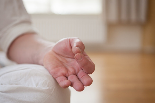 meditation-mit-mudras-handhaltungen-und-mantras-cc0-pixabay-chiaravdberg-190308_download Meditation mit Mudras (Handhaltungen) und Mantras sind fester Bestandteil vom Kundalini-Yoga.