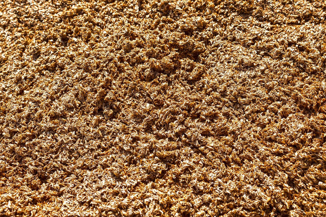 als-rohstoff-fuer-apfelleder-dient-trester-cc0-pixabay-stux-220124_download Als Rohstoff für Apfelleder dient Trester.