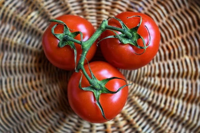 die-tomate-ist-ein-vitaminreiches-und-kalorienarme-cc0-pixabay-mabelamber-220325_download Im Tomatenstrunk ist eine geringe Menge des giftigen Stoffs Solanin vorhanden.