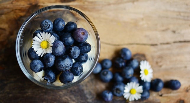 heidelbeeren-sind-ein-optimaler-snack-fuer-den-somm-cc0-pixabay-congerdesign-200623_download Nach dem Pflücken kannst du Heidelbeeren vielseitig verarbeiten.