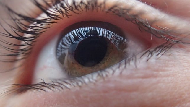 often help-to-sugar-eye-like-conscious-CC0-pixabay-Tobiasd-180125_Download A conscious break helps to relax against twitching eyelids.