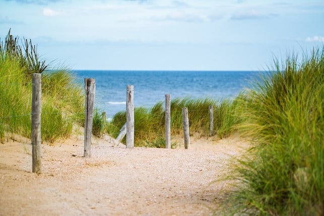 per-zug-schaffst-du-es-auch-an-die-nordsee-cc0-pixabay-evgenit-220318_download Per Zug schaffst du es auch an die Nordsee.