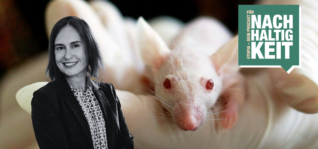 „Tierversuche sind nicht gut genug, um uns abzusichern“ – Biochemikerin über „bessere“ Alternativen (Foto: Tamara Zietek // CC0 / Pexels - Pixabay) Tierversuche