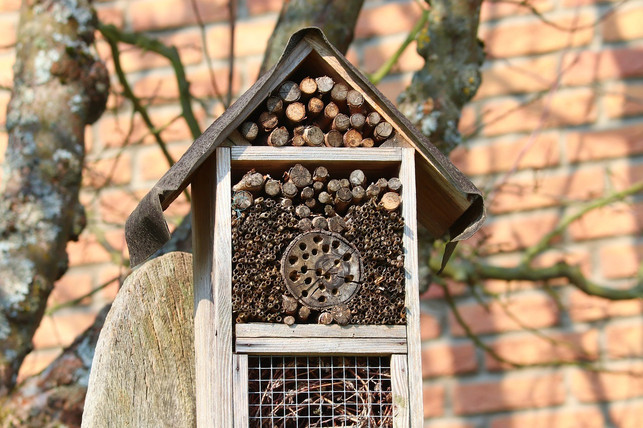 ein-insektenhotel-passt-gut-in-einen-vorgarten-cc0-pixabay-manfredrichter-210409_download Ein Insektenhotel passt gut in einen Vorgarten.