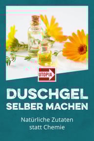 pin-it-pixabay-cc0-210115_download Pin it!