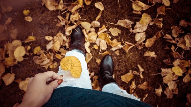 herbstdepression-cc0-pixabay-olichel-231017 Herbstdepression