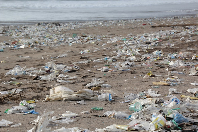 ein-solch-trauriges-bild-ist-in-manchen-laendern-le-cco-pixabay-hhach-190513_download Ein solch trauriges Bild ist in manchen Ländern leider keine Seltenheit. Bei einem Beach-Clean-Up hilfst du aktiv dabei, Strände von diesen Abfällen zu befreien.