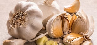 Knoblauch haltbar machen