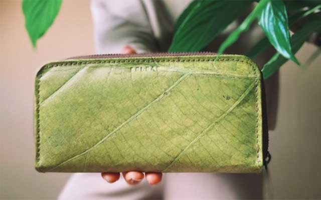 teak-leder-z-beleaf-avocadostore-211201-640x400 Eine besonders schöne und einzigartige Lederalternative ist Teakleder, das aus den Blättern des Teakbaums hergestellt wird.
