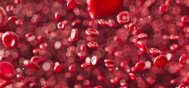 Studie zeigt, wie Ibuprofen rote Blutkörperchen verformt