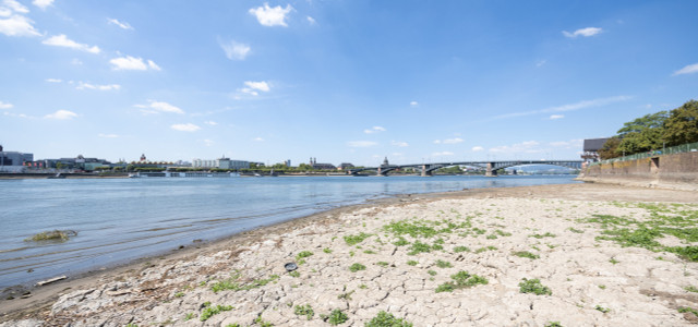 Hessen, Mainz-Kastel: Blick vom ausgetrockneten Rheinufer auf Mainz. Durch geringen Niederschlag und anhaltend hohe Temperaturen ist der Wasserstand im Rhein stark gesunken.