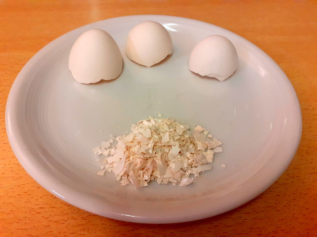 aus-zerkleinerten-eierschalen-kannst-du-nachhaltig-utopiadechantal-gilbrich-191118_download Aus zerkleinerten Eierschalen kannst du nachhaltigen Kunstschnee basteln.