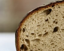Brotrezepte: Eine Rezeptesammlung für Hobbybäcker:innen