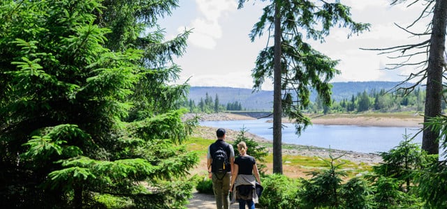 Wandern auf dem Harzer-Hexenstieg in Niedersachsen